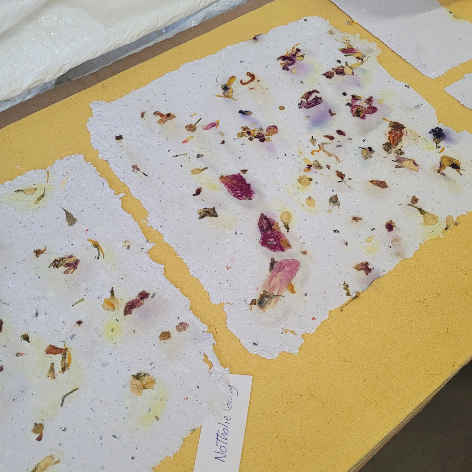 Craft and creative recycled papermaking workshop - Upcycling - 5 hours
