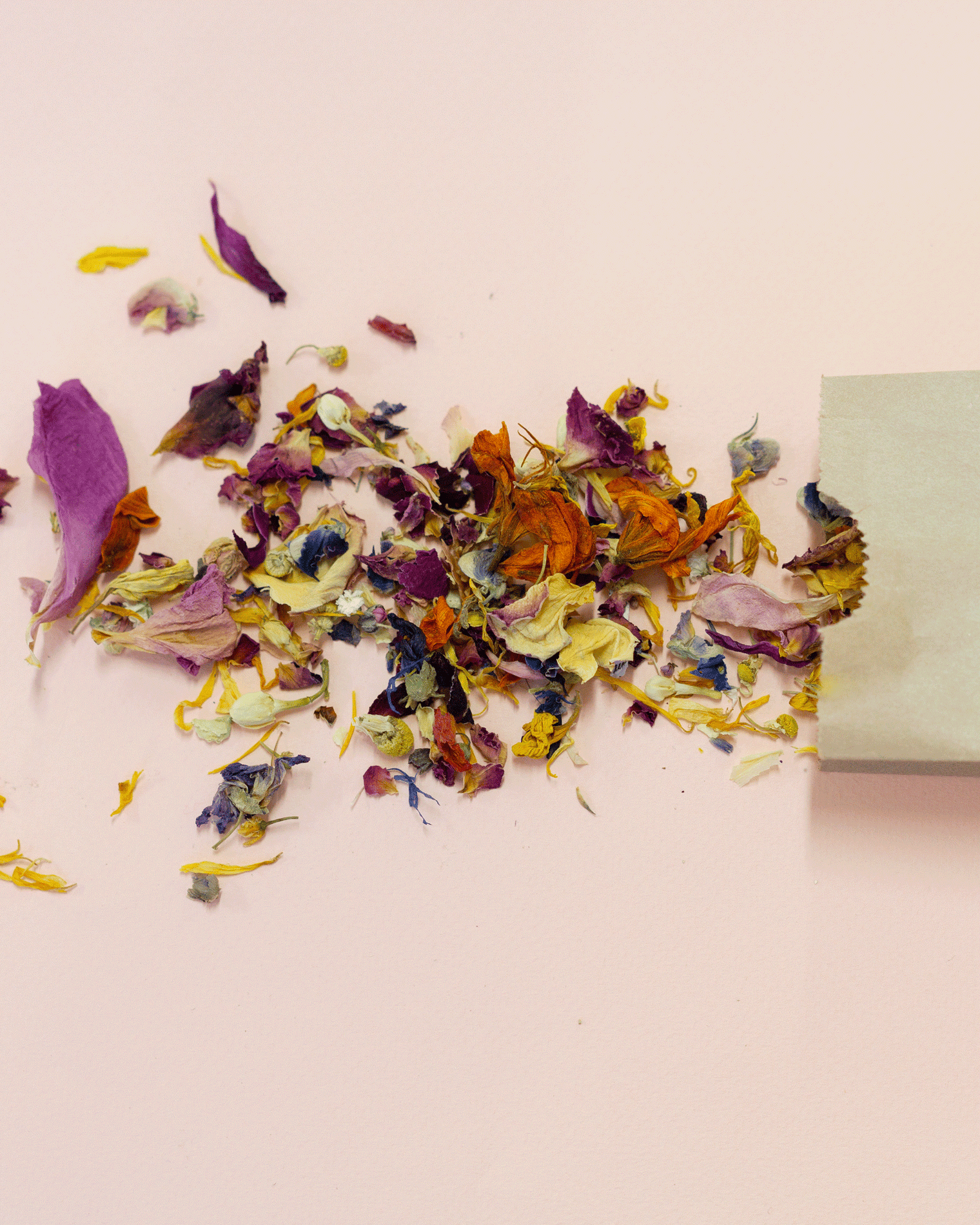 Fleurs séchées pour décoration