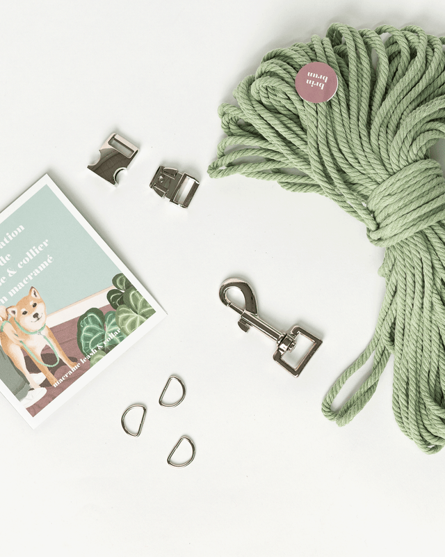 Fabrication d'une laisse de chien et collier en macramé
