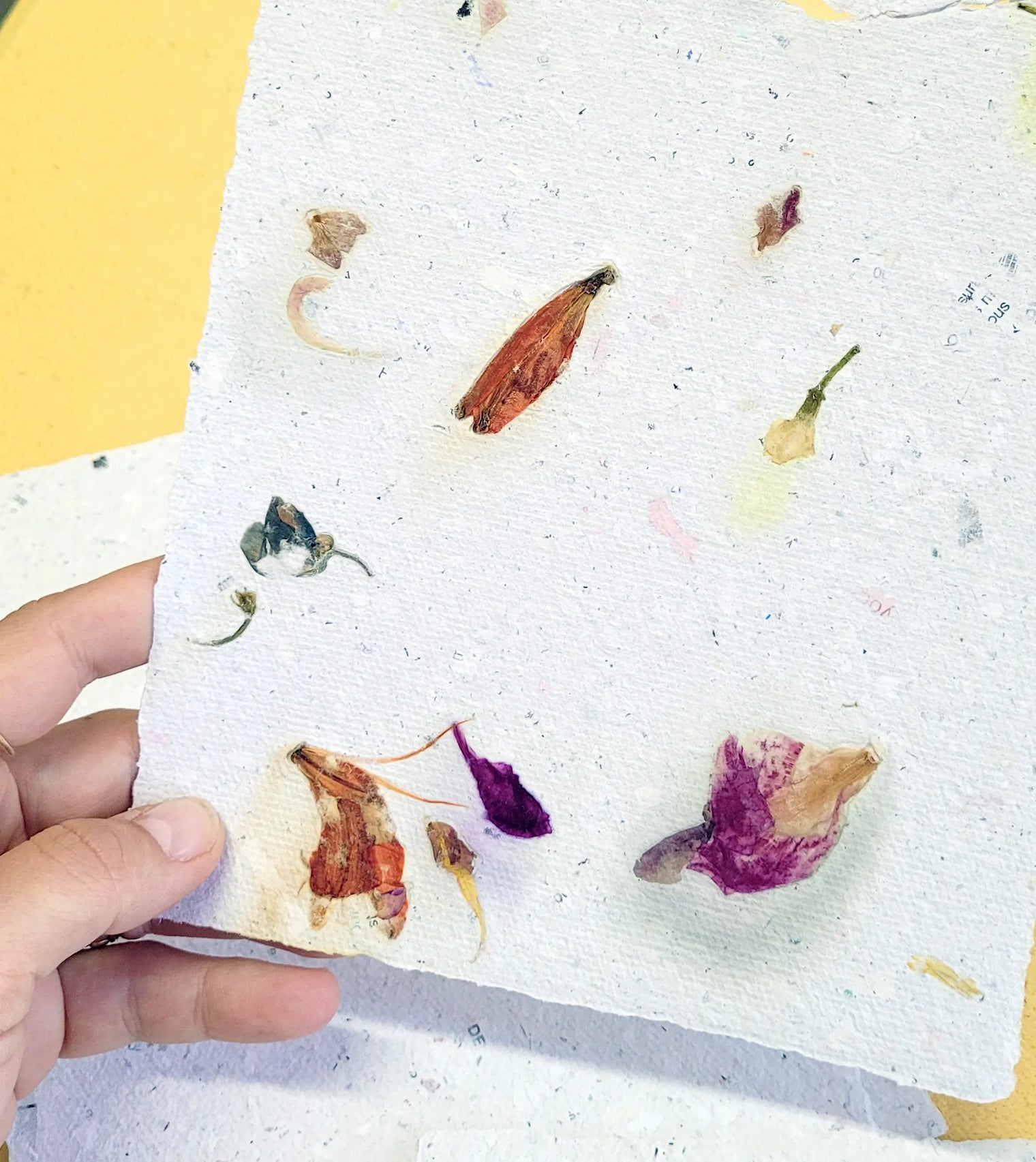 Craft and creative recycled papermaking workshop - Upcycling - 5 hours