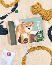Coffret créatif – Fabrication d’un collier pour chien personnalisé en macramé